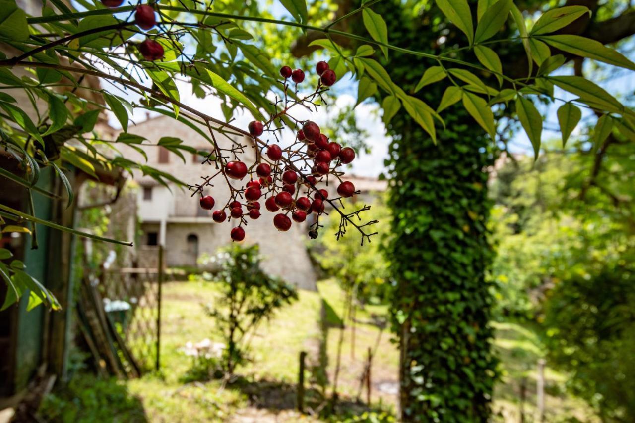 Perfetta Letizia Casa Vacanza Assisi Exterior photo