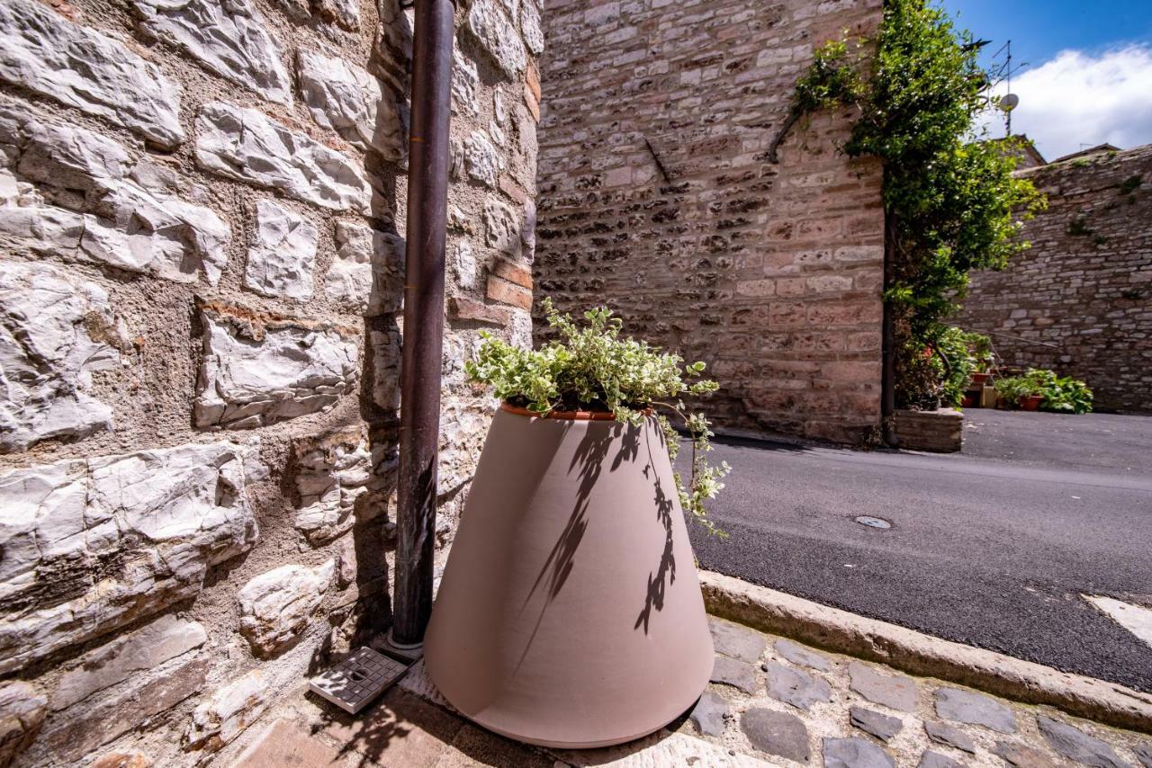 Perfetta Letizia Casa Vacanza Assisi Exterior photo